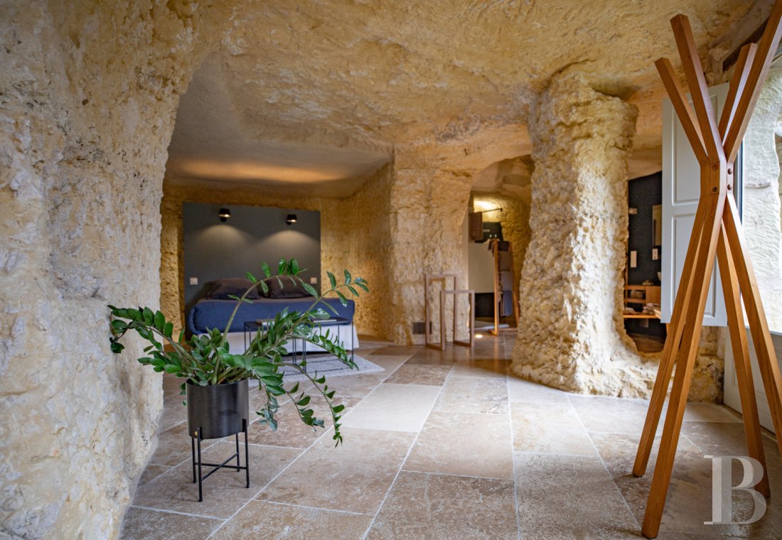 A château and its hamlet on the edge of a forest in the heights of a village near Amboise, In Indre-et-Loire - photo  n°43